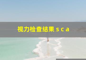 视力检查结果 s c a